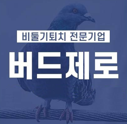 비둘기퇴치 전문기업 버드제로