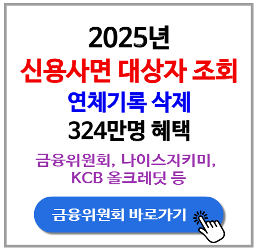 2025 신용사면 대상자 조회 신청 연체기록 삭제 324만명