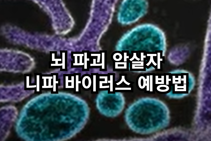 뇌 파괴 암살자, 니파 바이러스 예방법