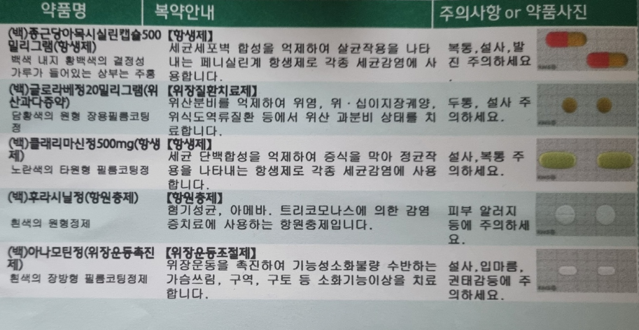 헬리코박터 치료 처방약